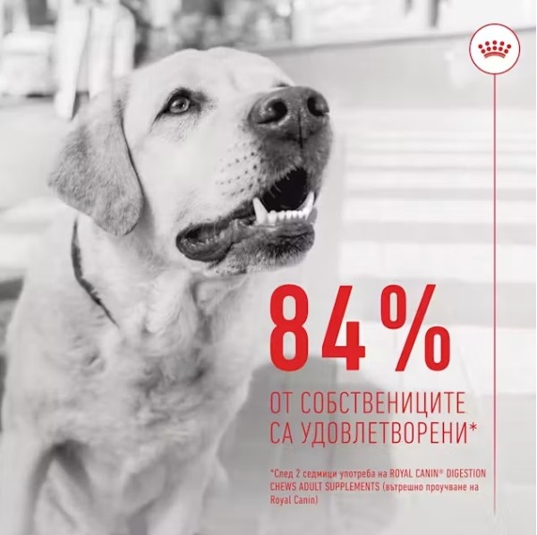 Royal Canin Adult Dog Supplement Digestion - Хранителна добавка за кучета в зряла възраст за по-добро храносмилане 160 гр